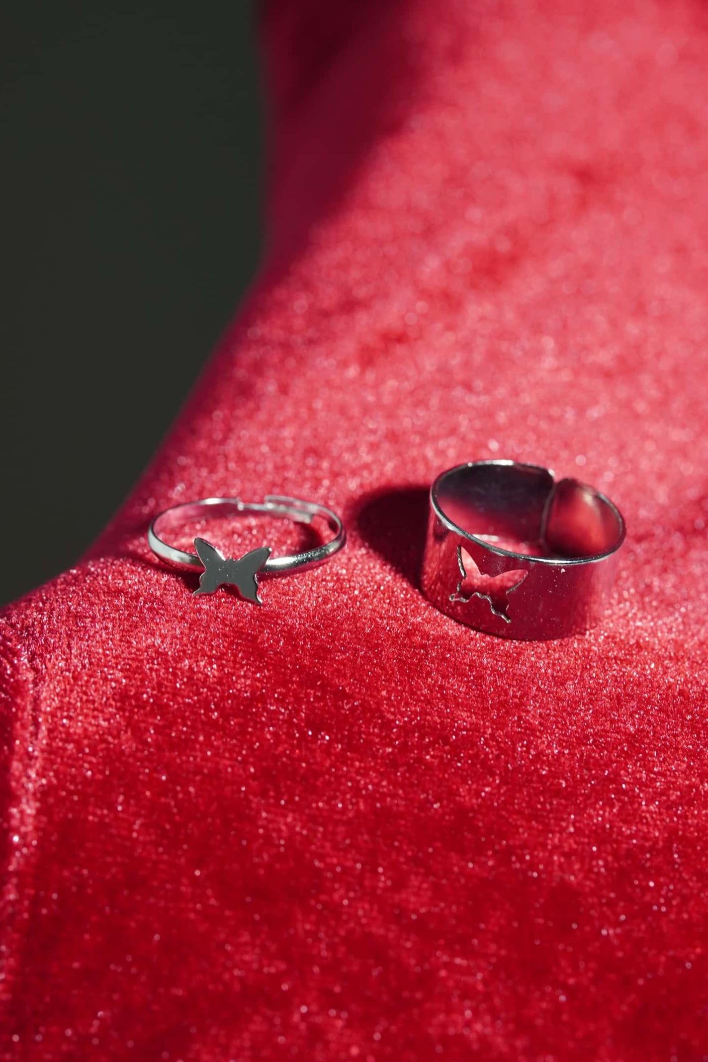 Bound by Wings- Couple's Ring