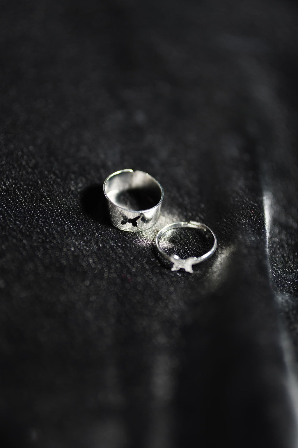 Bound by Wings- Couple's Ring