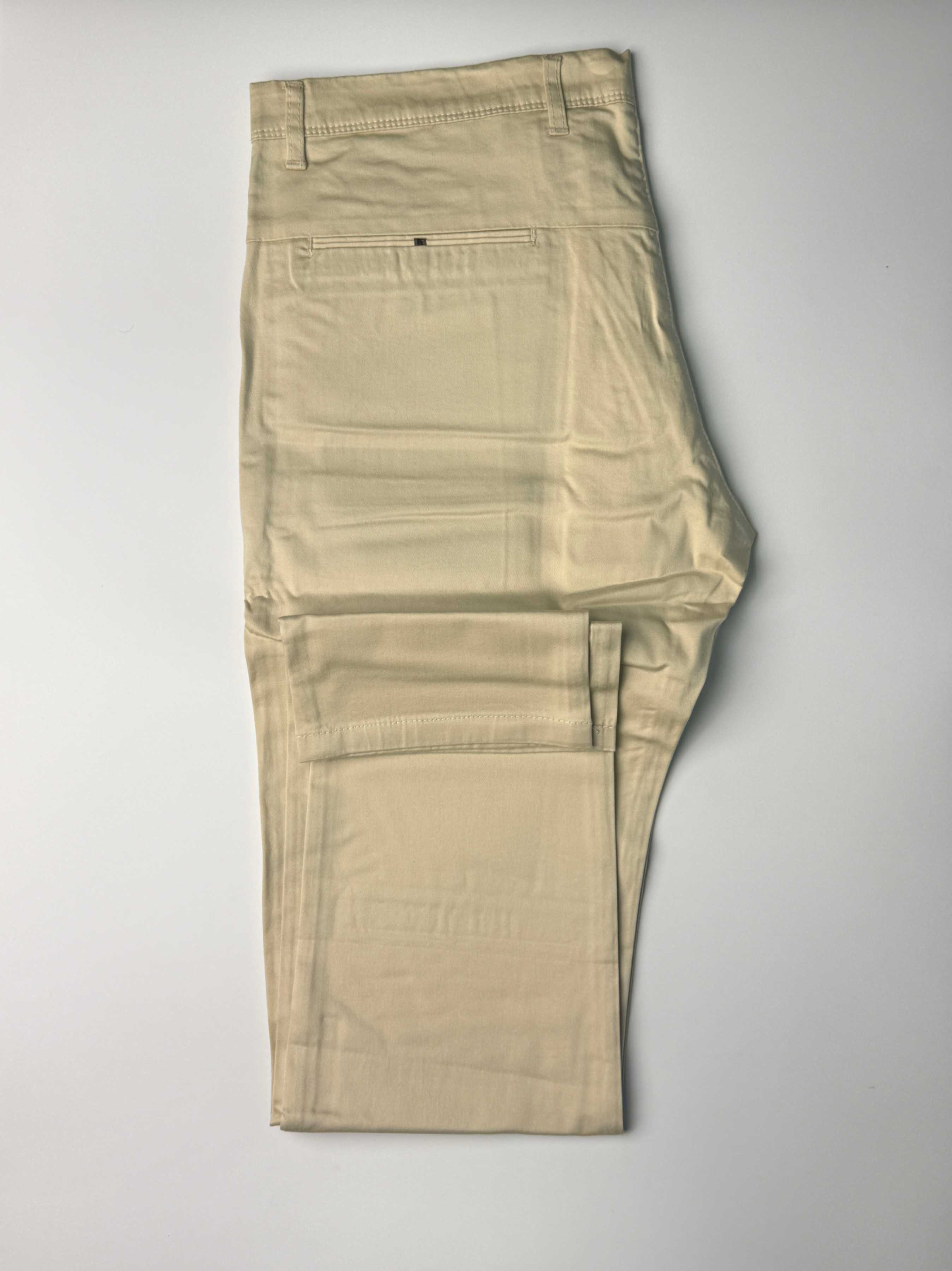 PREMIUM PANT COLL. COT. RG. MET.09.05